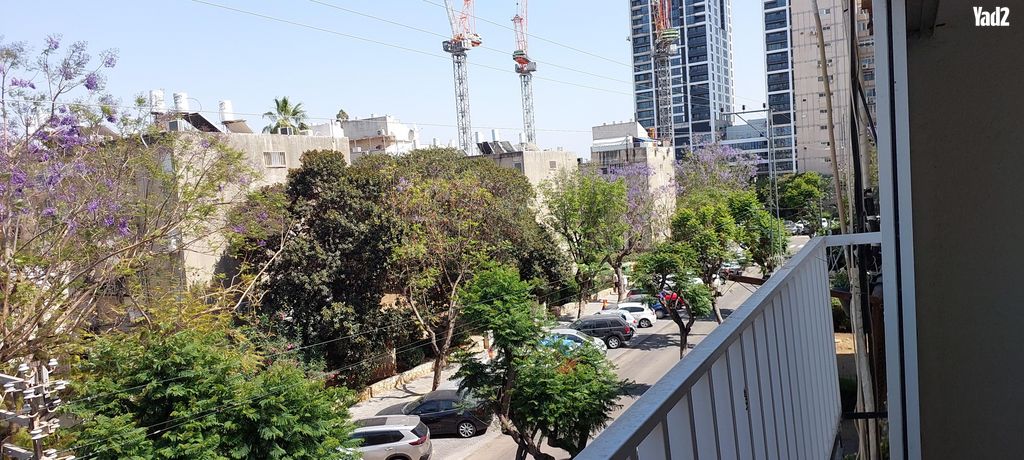 שאול הדדי 8
