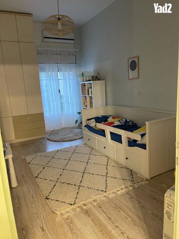 זאב ברנדה 13