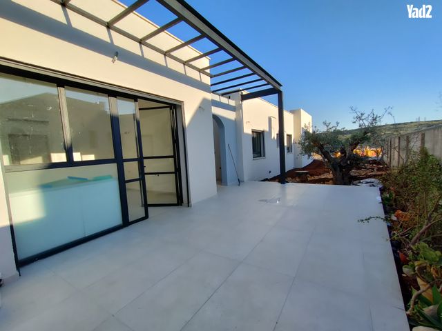 כנרת 1