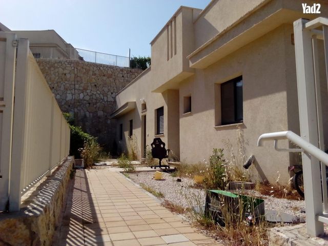 הנרקיס 3