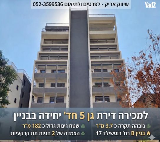 רוטשילד 17