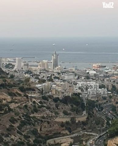 משה גוט לוין 