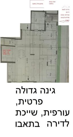 רוזמרין 9