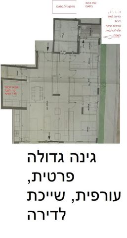 רוזמרין 9