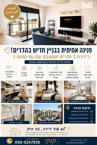 האתרוג 41