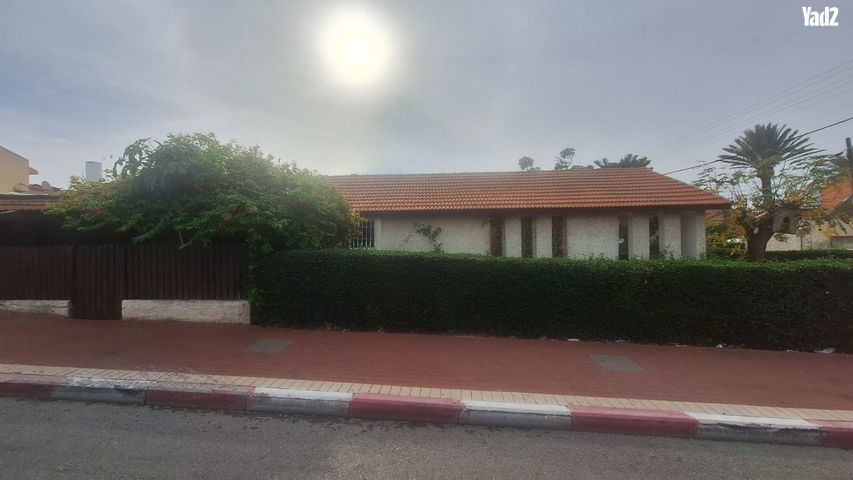 החבצלת 36