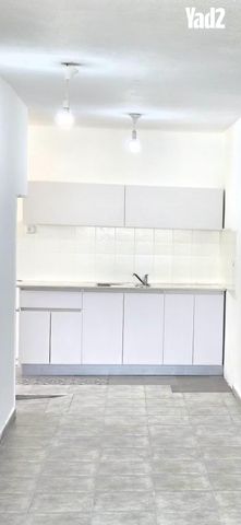 הרב רובינשטיין 23
