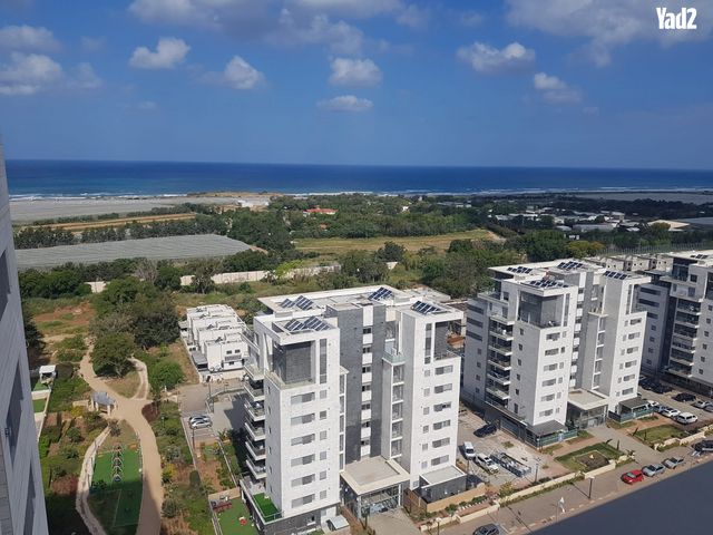 אלמוג 6