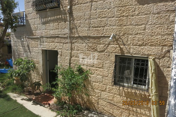 כלנית 8