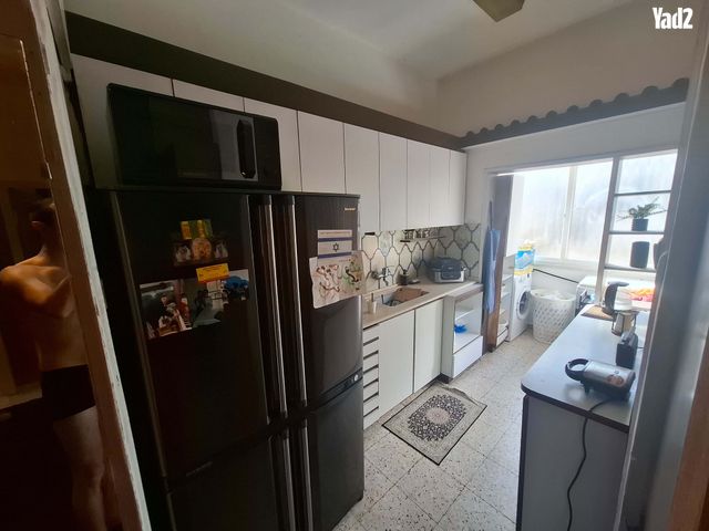 שיינקין 84