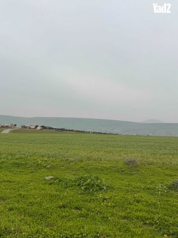 מגרשים