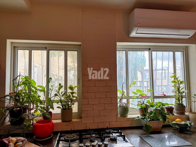 אלמוגן 