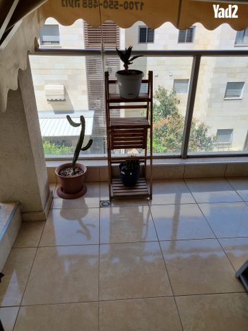 אהרון הכהן 4