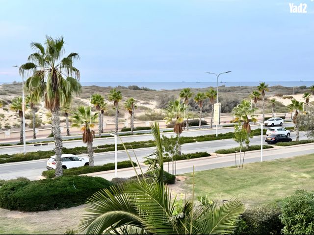מארק שאגל 50