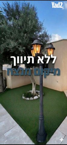סחלב 36
