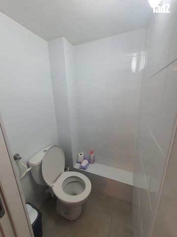 שדרות התמרים 478