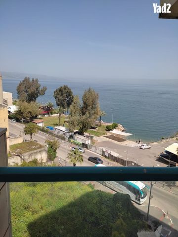 גדוד ברק 17