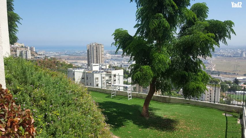 השושנים 46