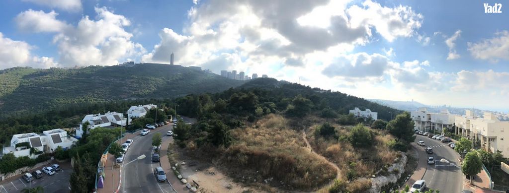 האשל 7