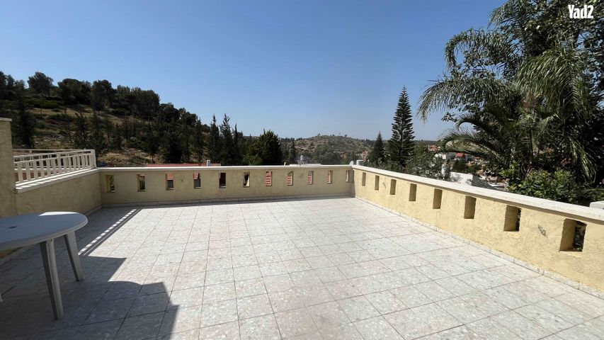 האלון 49