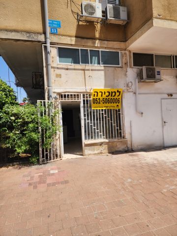 נפתלי הלל 11