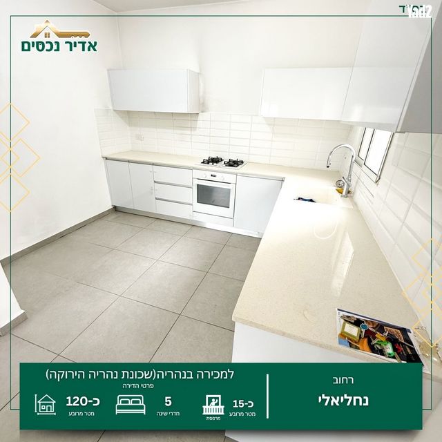 נחליאלי 2