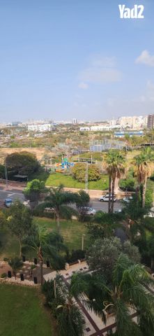 מעגל השלום 
