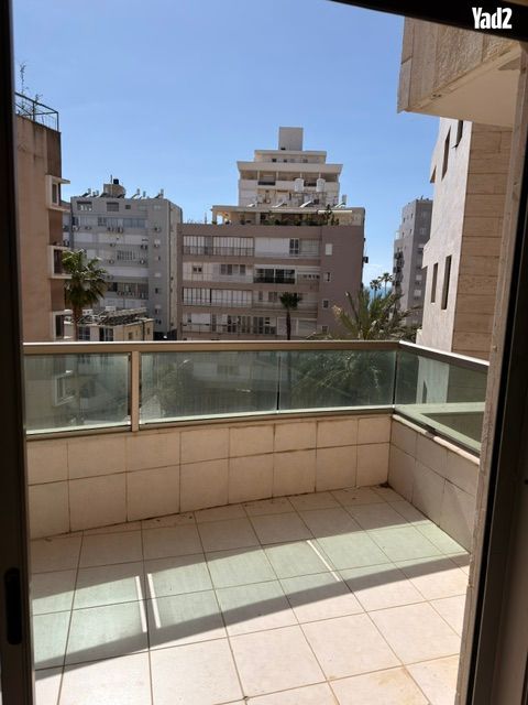 דוד המלך 