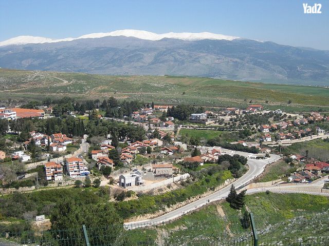 מגרשים