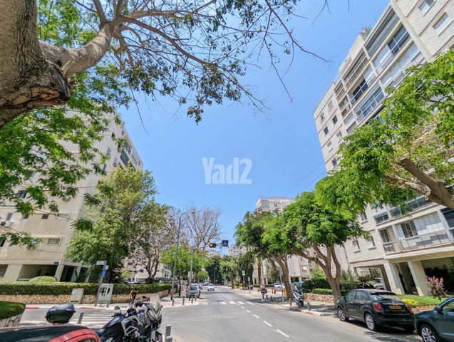 רב אשי 