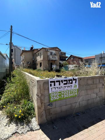 הכותל המערבי 
