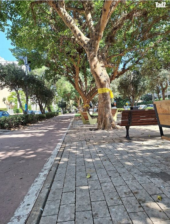 שדרות בן גוריון 