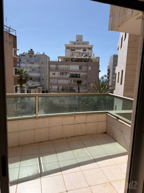 דוד המלך 