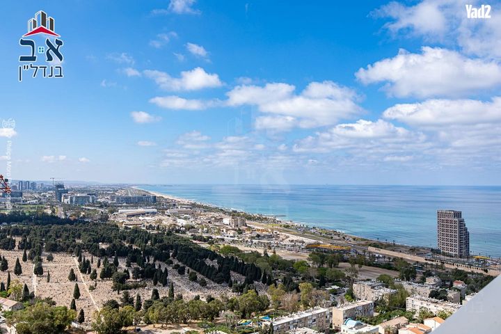 המלך שלמה 