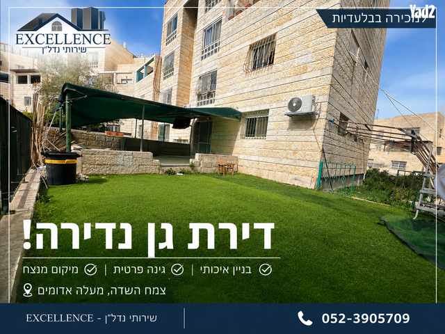צמח השדה