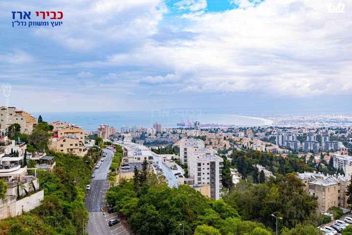סלעית 