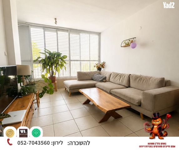 המעיין 