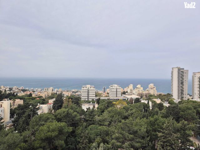 דירה