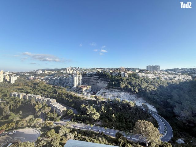 ליאון בלום 24