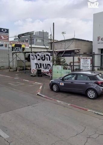 דוד פנקס 