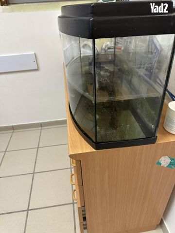 תמונת מודעה - חיות מחמד