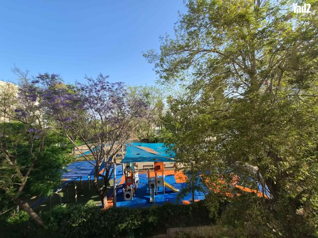 ביאליק 41
