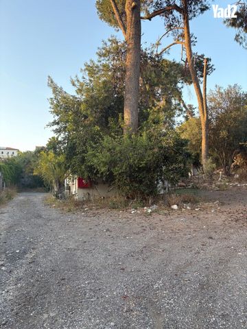 שכביץ 12