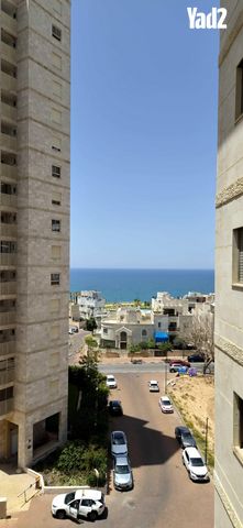 פייר קניג 33