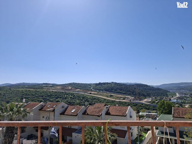 אשחר 
