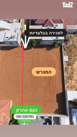 הנורית 11