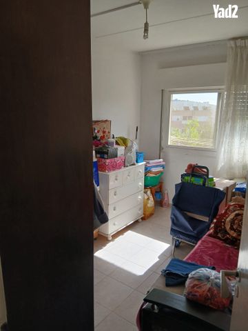 הרימון 