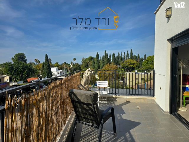 הדקלים 