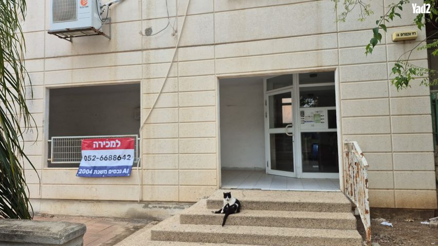 אקסודוס 16