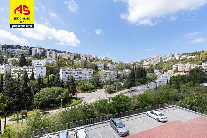 הצלפים